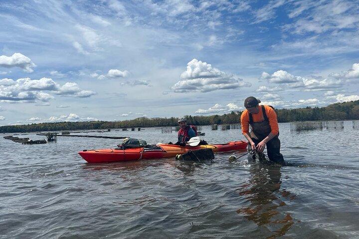 Oyster Tasting and Kayak Tour