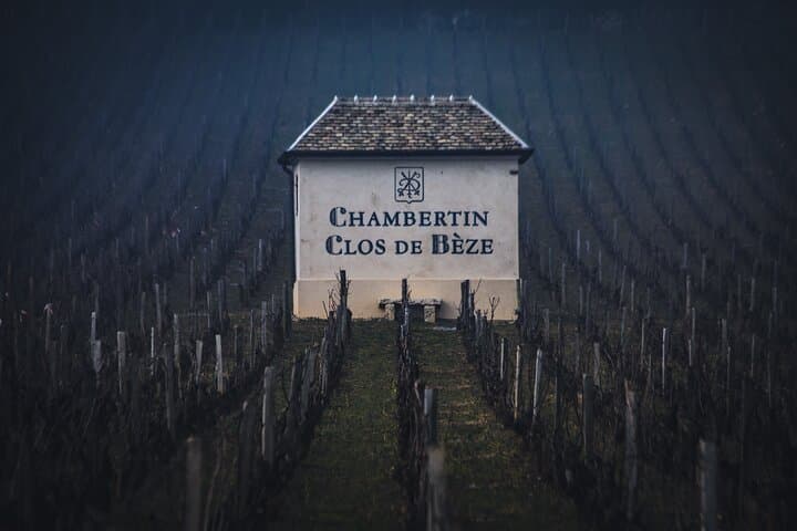 Luxurious Wine Tour in Burgundy