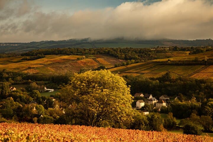 Full-Day Private Wine Tour in Côte de Beaune