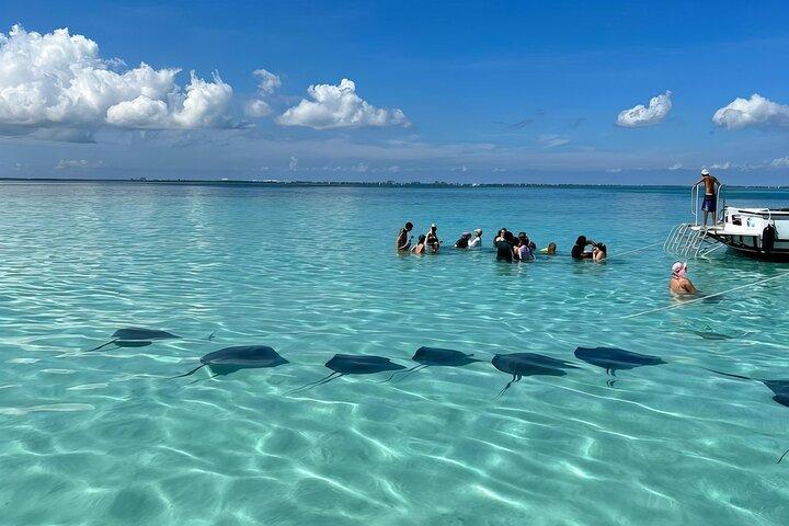 Fun Family StingrayCity Adventure.