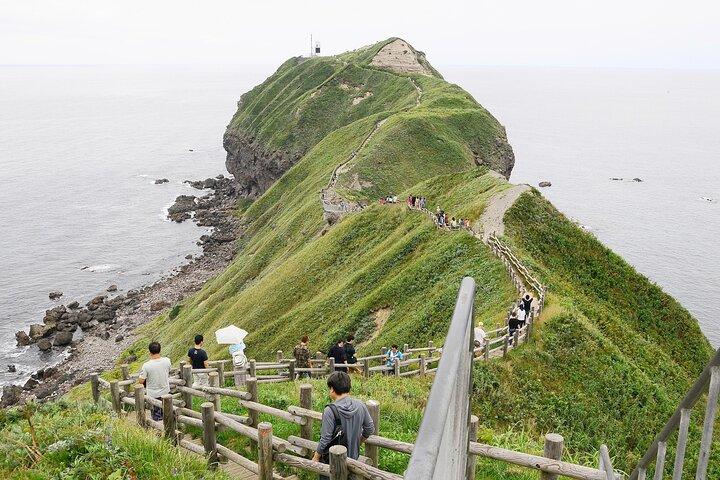 Hokkaido Scenic Cape Tour: Explore the Best of Shakotan Peninsula