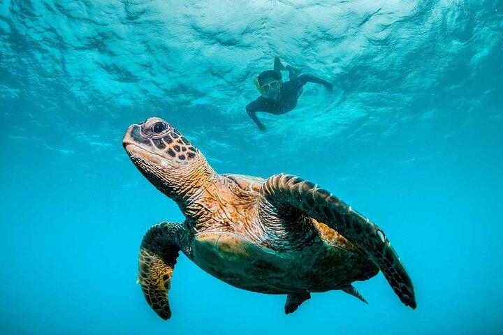 Huatulco Ocean Eco Adventures