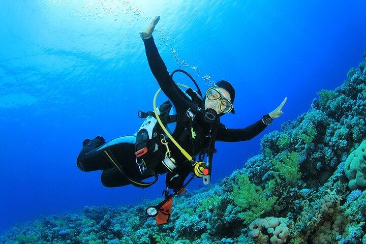 Scuba Diving Adventure for Beginners with Lunch – Sharm El Sheikh