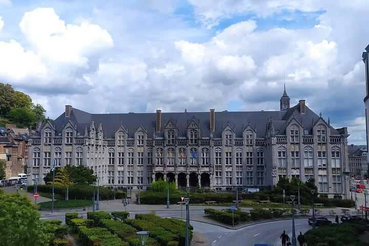 Liege Highlights Half Day Private Walking Tour