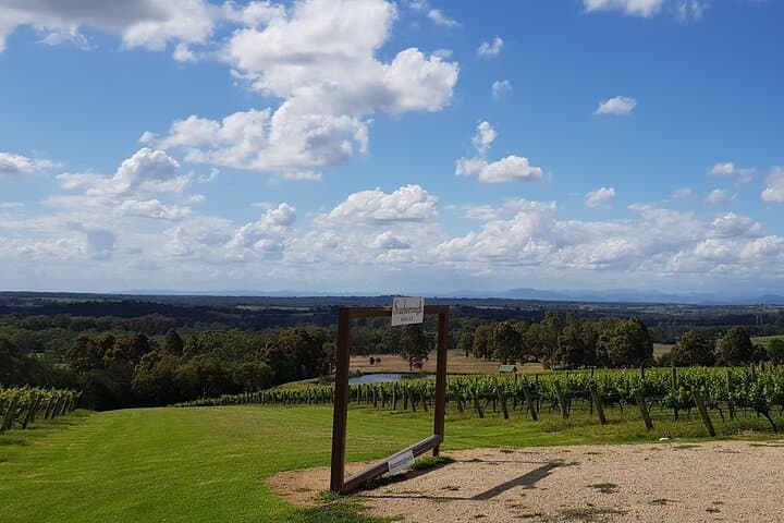 Full Day Private Wine Tour Exclusively Tailored To Suit You