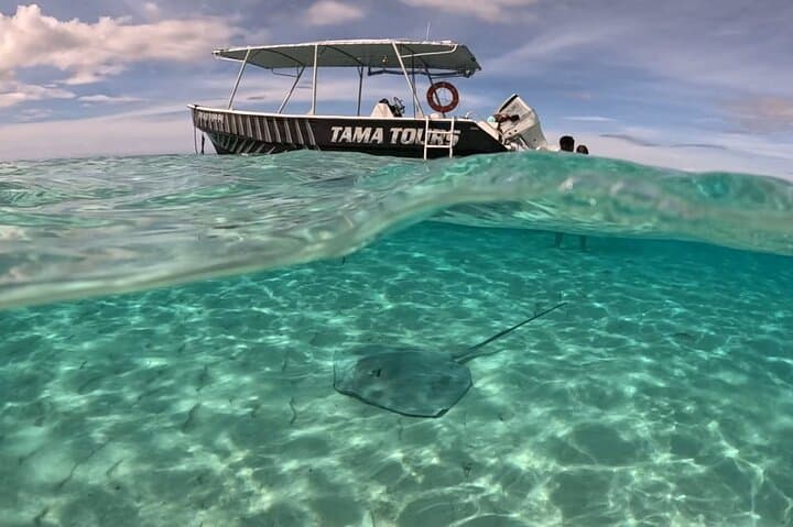 Lagoon Exploration and Snorkeling in Moorea