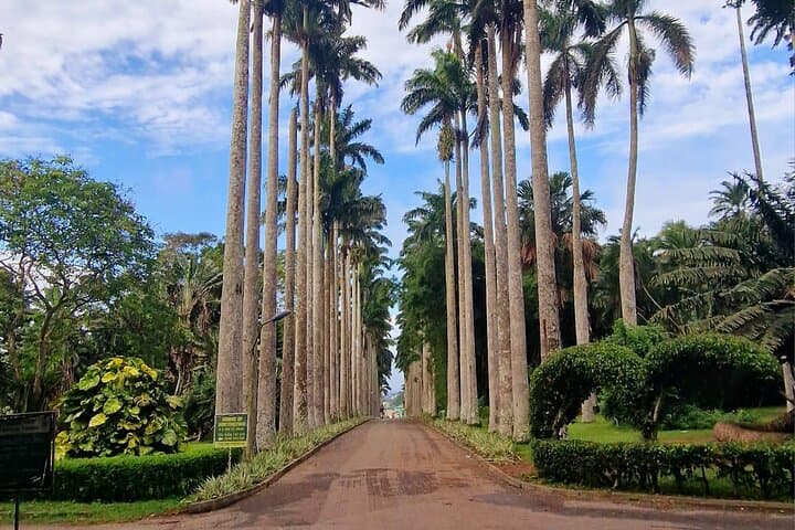 Aburi Botanic Gardens, Boti Falls,Umbrella Rock & Cocoa Farm Tour