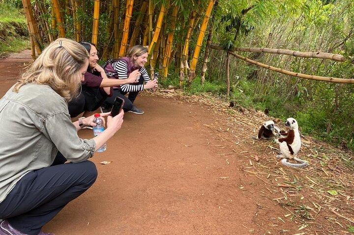 Antananarivo: Lemurs Park & City Tour