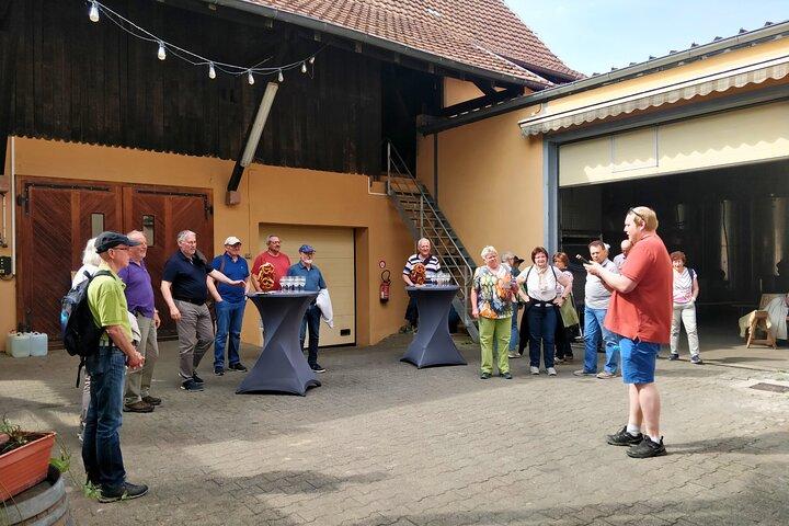 Visit and tasting of wines and cheese and charcuterie platter