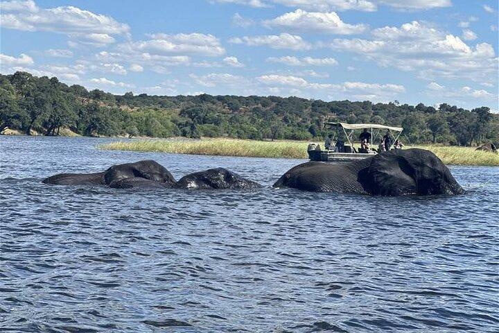 The Chobe Safari Day trip from Livingstone