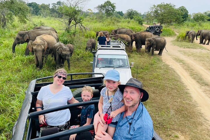 Minneriya National Park Safari Private Jeep with Hotel Pickup