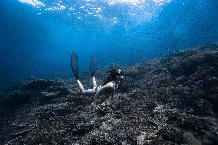 Beginner Freediving Course (with Bonus Session)