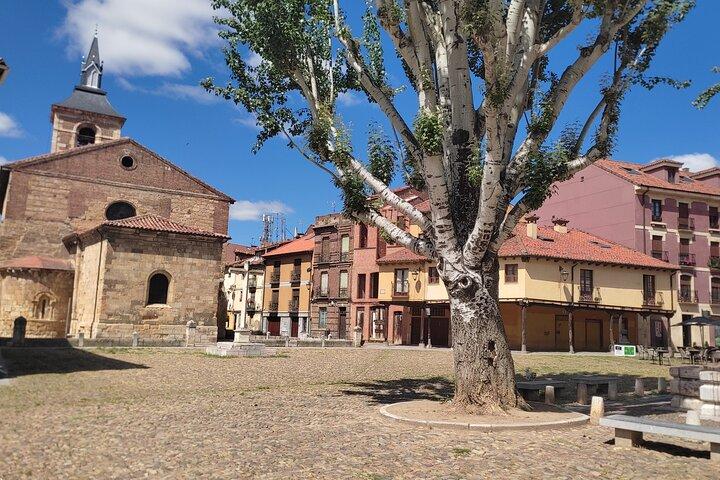 Leon : guided tour POR a Lioness art historian