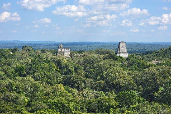 Tikal Private Tour from Flores Guatemala with Transportation