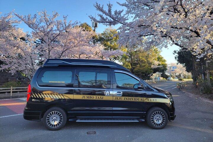 Private Transfer From Jeju Airport to in Seogwipo Jeju Island