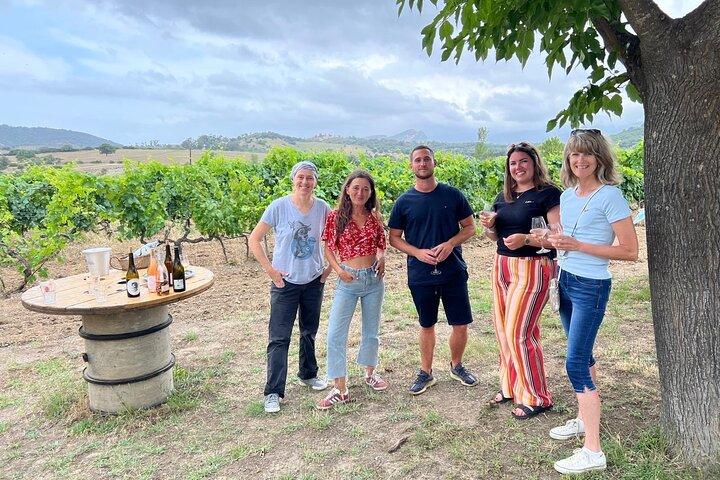 Corsican Wine Tour & Picnic in Calvi