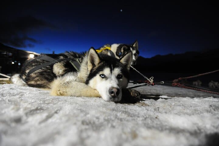 USHUAIA | Snow and Fire