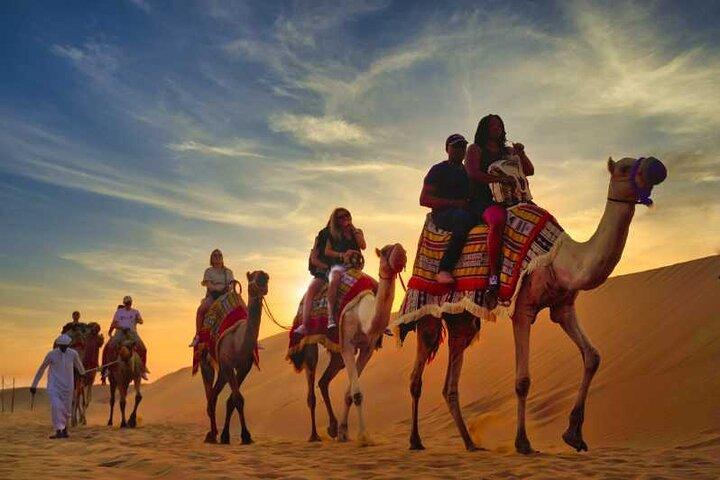 VIP Desert Safari Camel Ride Sand Boarding & BBQ Dinner