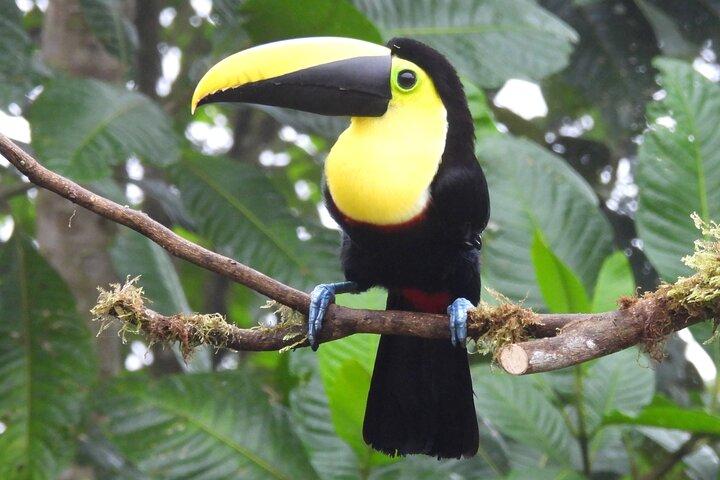 Private Mindo Cloud Forest Experience