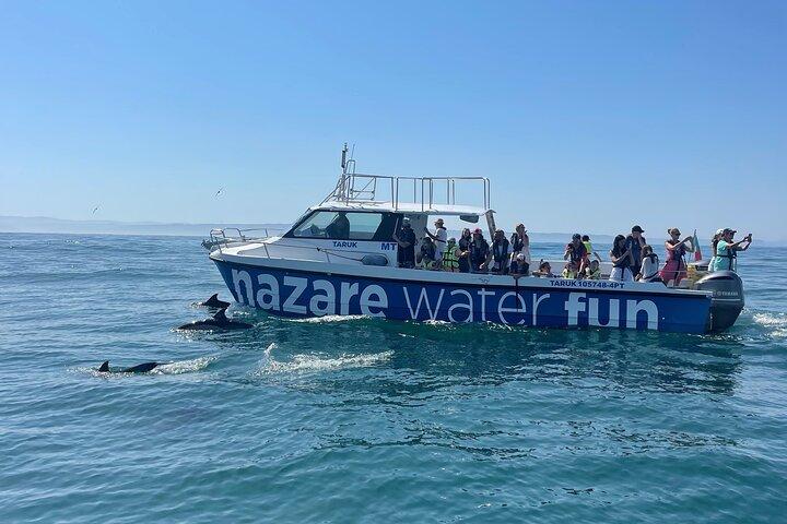 Boat Tour : Observation of Dolphins and Nazareth Canyon