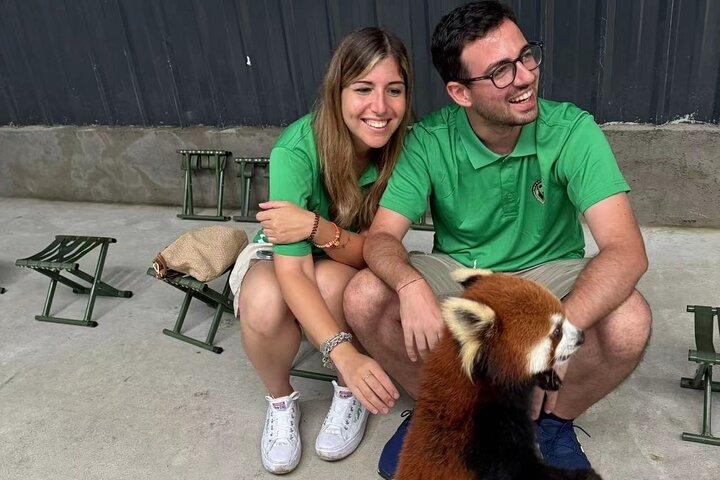 Unique One-Day Tour: Interactive Experience with Red Pandas