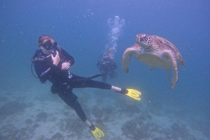 From Dubai: Dive and Stay 5-Dives Trip with Transfers