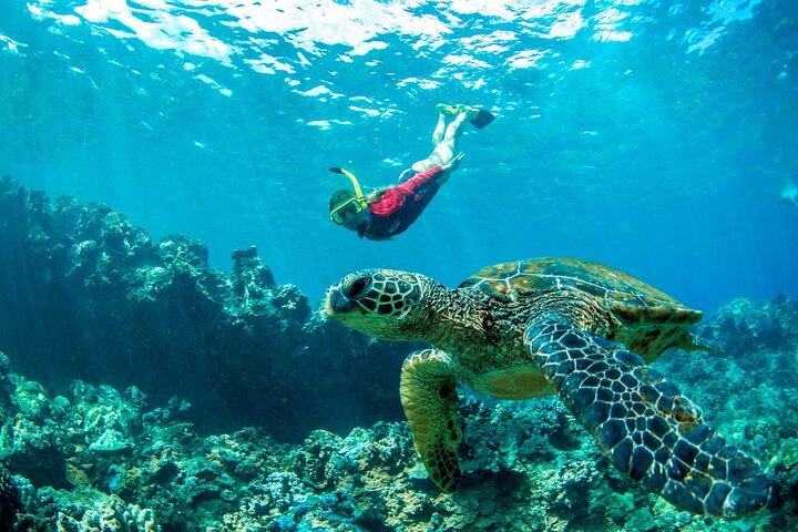West Maui Afternoon Snorkel from Ka’anapali Beach