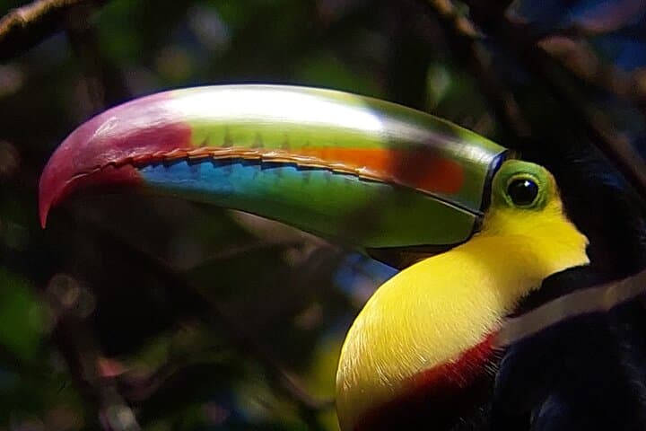Guided tour in the Curicancha Reserve