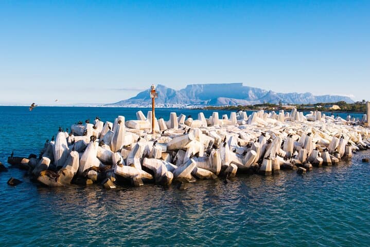Guided Robben Island Historic Prison Tour with Pickup & Drop-off