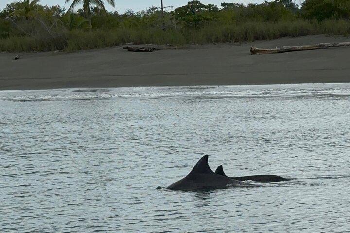 Corcovado National Park Sirena Day Tour From Puerto Jimenez