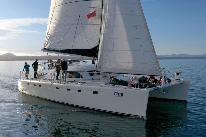 Luxury Sailing - Māori Rock Carvings - Taupo Sailing Adventures