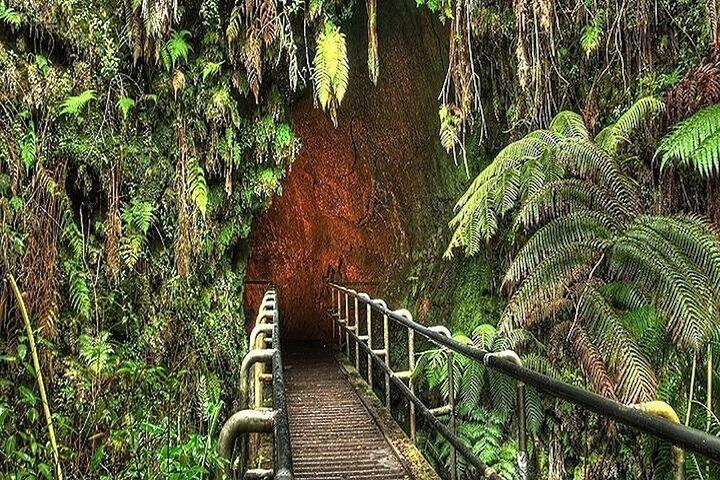Maui: Road to Hana Deluxe Rainforest and Waterfall Experience