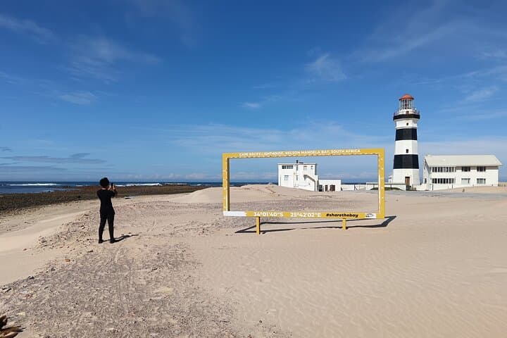 Guided Port Elizabeth Coastal Tour