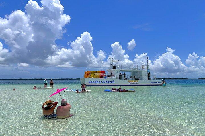 All-Inclusive Sandbar Safari with Dolphin Playground Encounter