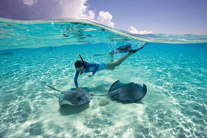 Cayman 3 in 1 Combo: Starfish Point, Stingrays and Reefs
