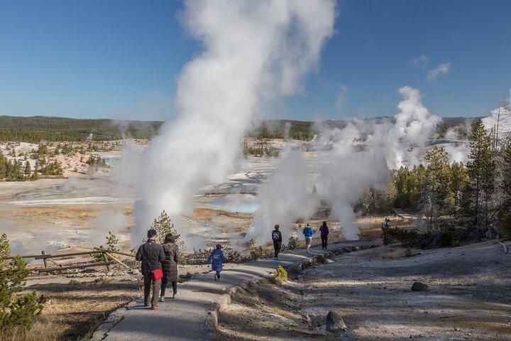 Yellowstone in a Day - Wildlife, Canyons, & Hot Springs