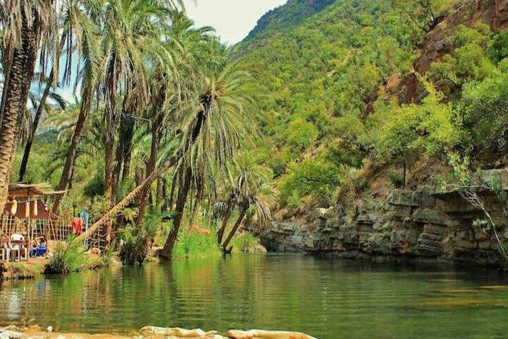 Paradise Valley Tour & Goats on Argan Trees – One-Day Package