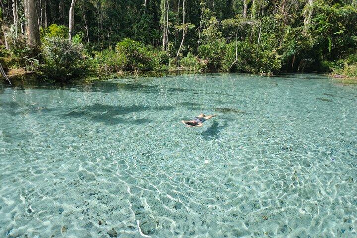 From Khao Lak : Cheow Lan Lake & Nam Rad Emerald Pool