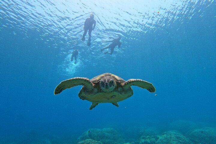 Daymaniyat Islands Snorkeling Sharing Trip