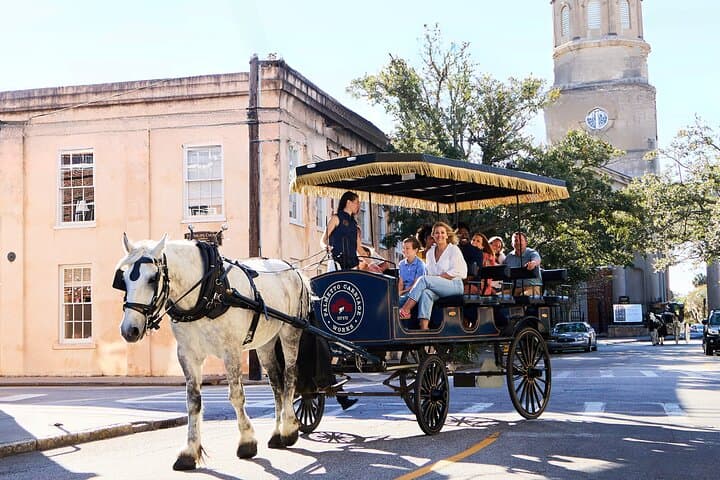 Charleston Horse-Drawn Carriage Tour: Explore Historic Charleston