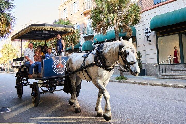 Charleston Horse-Drawn Carriage Tour: Explore Historic Charleston