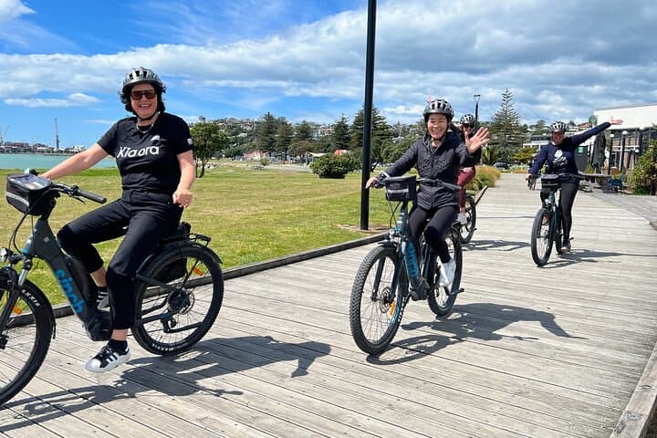 E-Bike to Napier Wineries - SELF-GUIDED, 3-5 hours