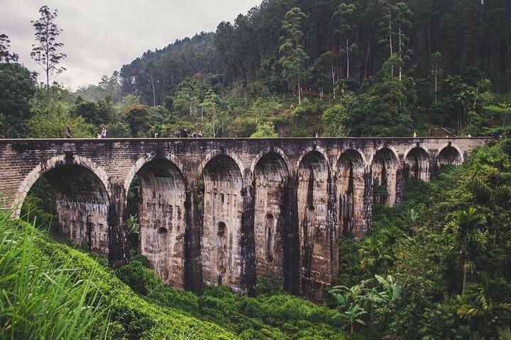Ella Day Tour with Train Ride from Colombo or Negombo