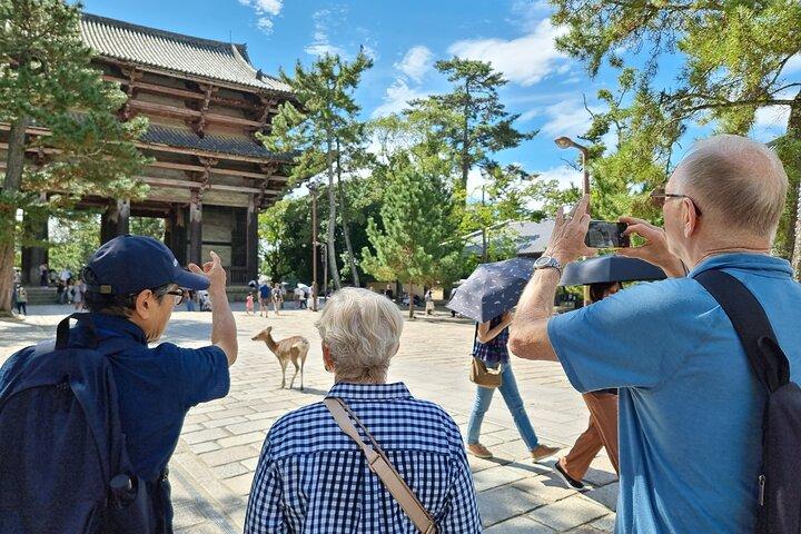 Nara World Heritage PRIVATE TOUR