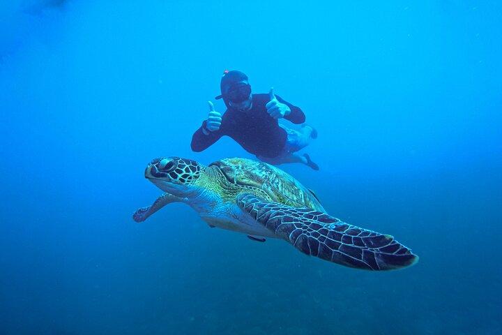 Snorkelling Trip 5 Island Tour Around Koh Tao and Koh Nang yuan