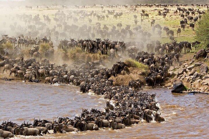 Arusha: 4 Day in Tarangire and Serengeti and Ngorongoro Crater