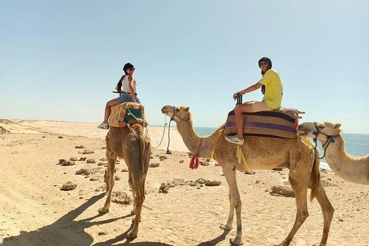 Dakhla Camel Ride Experience