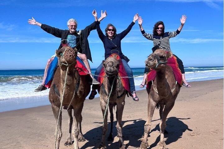 Tangier Private Luxury Tour with Camel Ride - 4-Hour Experience