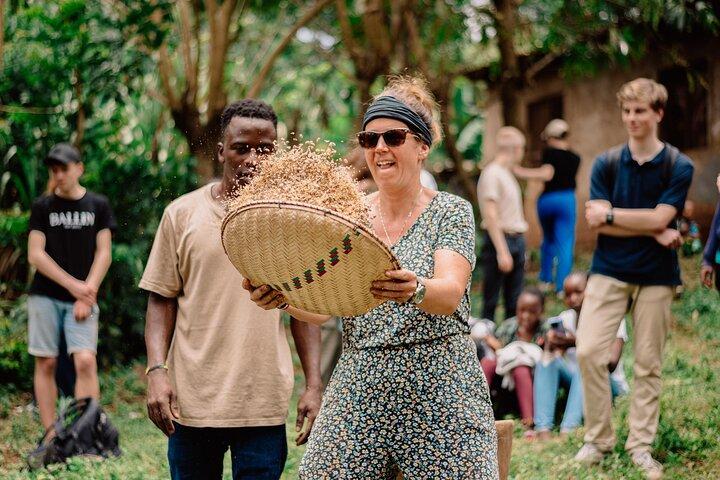 Coffee tour and Buffet Lunch with Kingstone Asilia (Arusha)