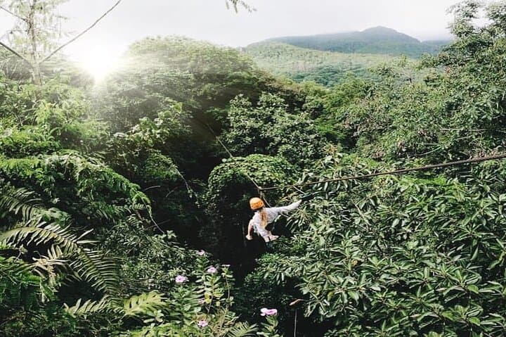 Mahe Island: Zip Lining and Marine Park Snorkeling Excursion